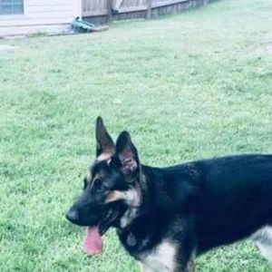 Meet your Posher, Karen